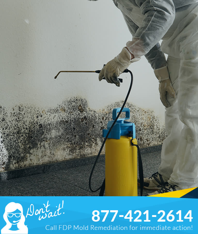 Mold remediation technician inspecting visible growth inside a protected work area
